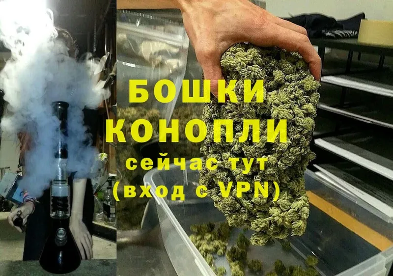 как найти закладки  Вилючинск  Марихуана SATIVA & INDICA 